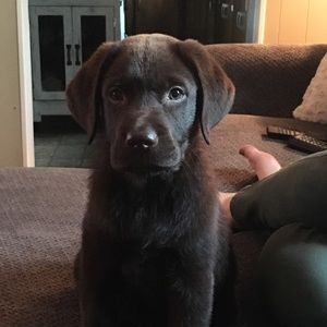 Meet your Posher, Sally